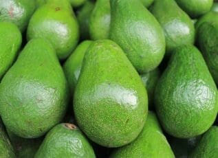 Green avocados piled close together, healthy fruit full of nutritious fats for a balanced diet