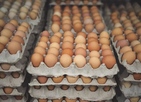Trays of brown eggs in carton packaging for fresh, healthy ingredients