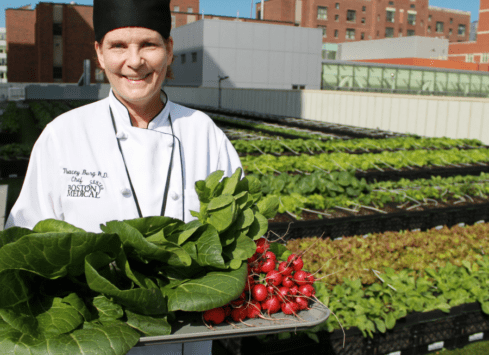 Chef smiling while holding fresh vegetables on urban rooftop garden
