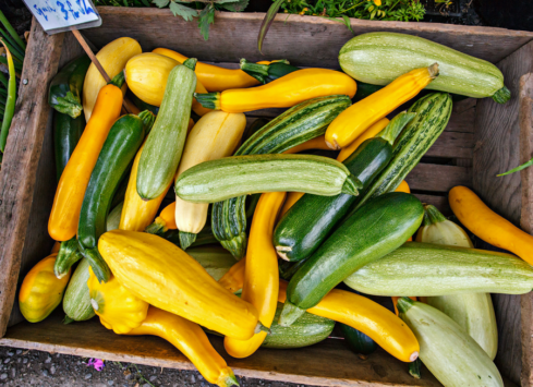 Yellow and green zucchini squash for sale at a farmer's market in a wooden crate