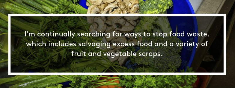 I’m continually searching for ways to stop food waste, which includes salvaging excess food and a variety of fruit and vegetable scraps.