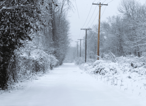 Snowy rural road lined with utility poles and trees in winter