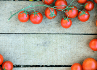 Fresh tomatoes on the vine on a rustic wooden background