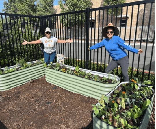 Two women smiling in raised garden beds surrounded by plants and fencing on a sunny day.