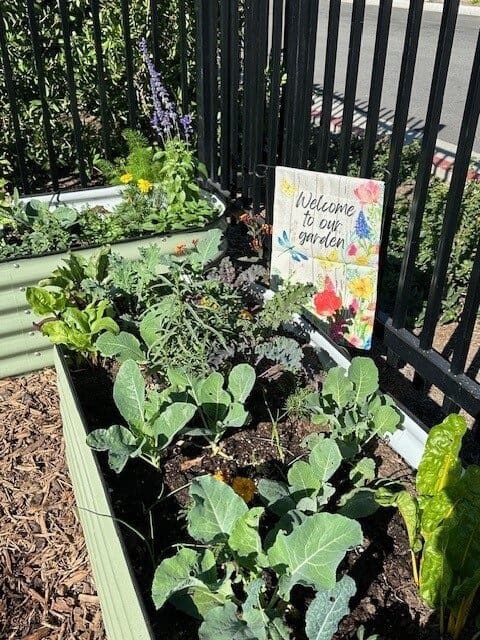 Photo of a home garden