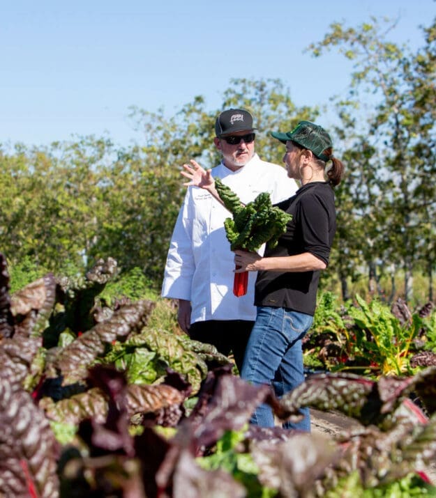 Chef and farmer inspecting leafy greens in lush garden on sunny day