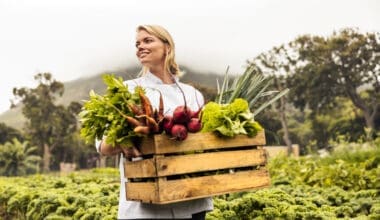 Woman carrying crate of fresh vegetables in organic farm field